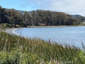 MLS #SC26094949 image #0