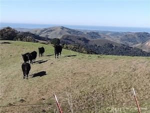 MLS #SC26138784 image #0