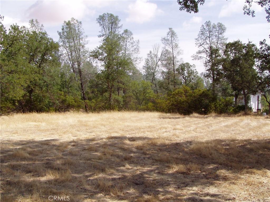 15838 El Dorado DR Corning CA 96021 | MLS #SN24193386 37 MLS #SN24193386 image #0