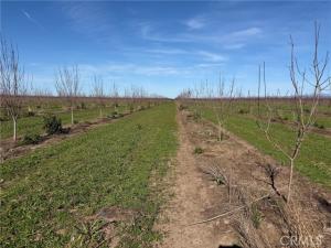 Cana Highway Chico CA 95973 | MLS #SN24230335 9 MLS #SN24230335 image #0