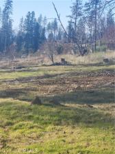 MLS #SN25008404 image #0