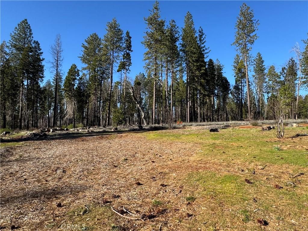 MLS #SN25042952 image #0