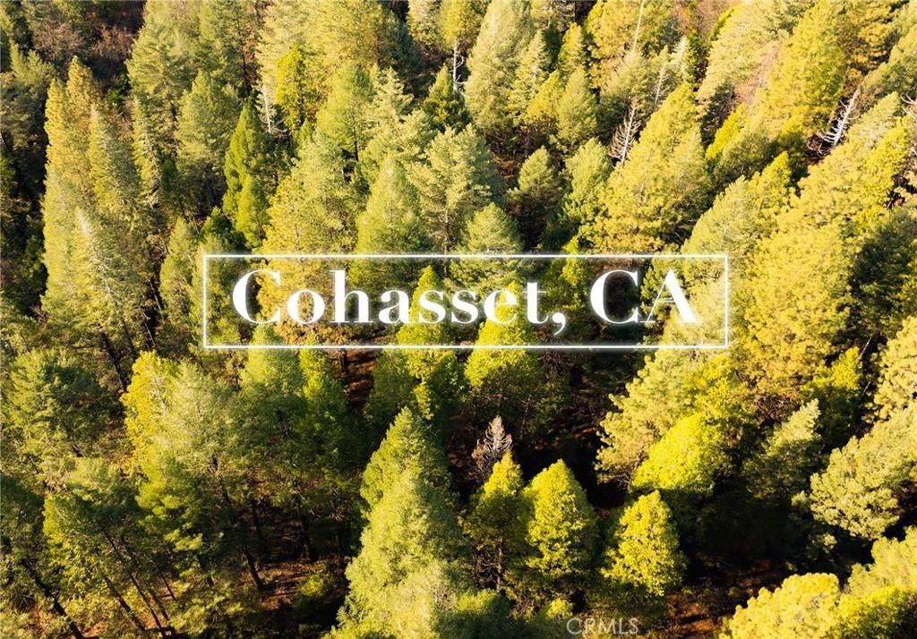 10 Roz Ln Cohasset CA 95973 | MLS #SN25069193 21 MLS #SN25069193 image #0