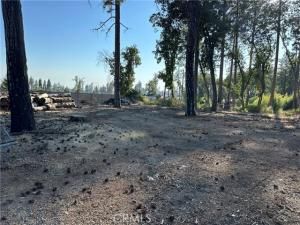 MLS #SN25172053 image #0