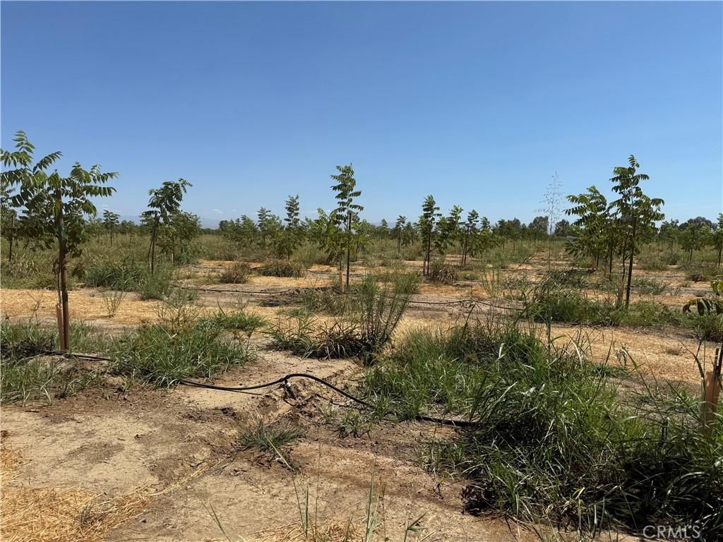 MLS #SN25184944 image #0