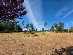 MLS #SN25186758 image #0