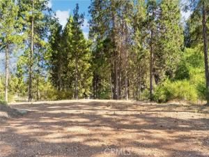 MLS #SN25187044 image #0