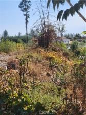 MLS #SN25187492 image #0