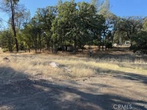 MLS #SN25224880 image #0