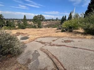 MLS #SN25227439 image #0