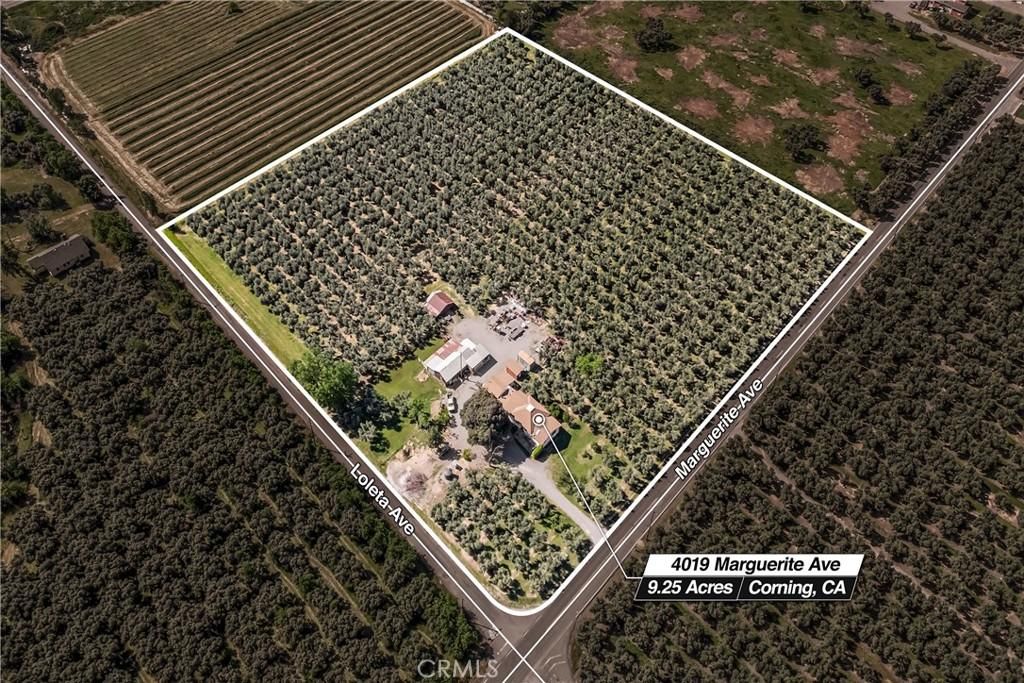 MLS #SN25229631 image #0