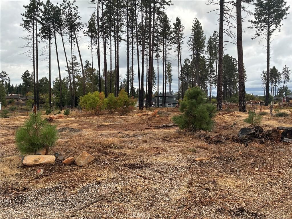 MLS #SN25230982 image #0