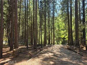 MLS #SN25231605 image #0