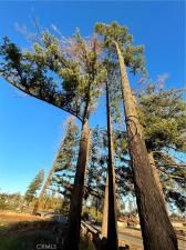 MLS #SN25247700 image #0