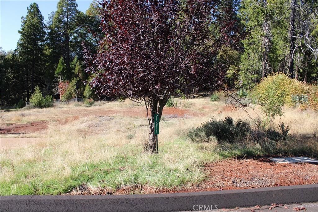 MLS #SN25248391 image #0