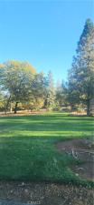 14900 Woodland Park Forest Ranch CA 95942 | MLS #SN25250232 25 MLS #SN25250232 image #0