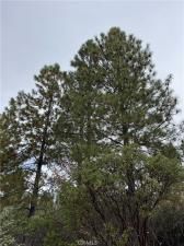 MLS #SN25251665 image #0