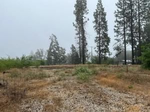 13620 S Park Magalia CA 95954 | MLS #SN25252374 45 MLS #SN25252374 image #0