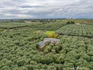 MLS #SN25258694 image #0