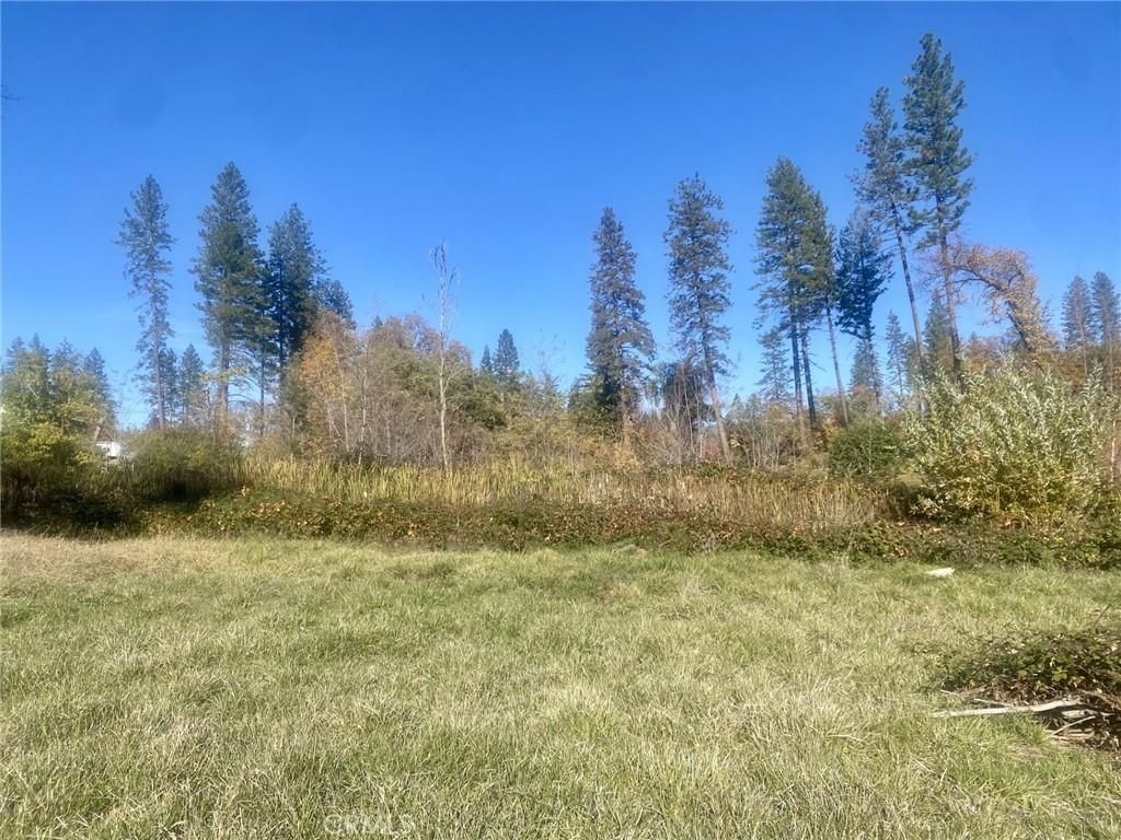 MLS #SN25267529 image #0