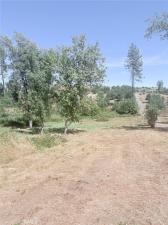 1865 Paige Paradise CA 95969 | MLS #SN25267529 45 MLS #SN25267529 image #0