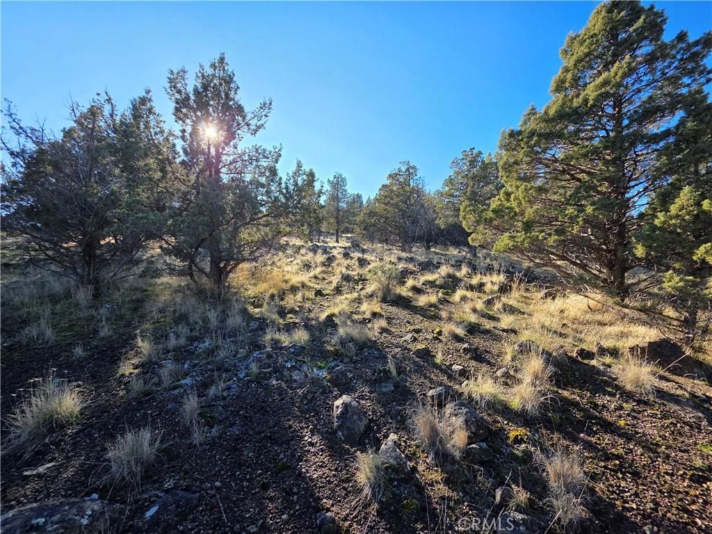 MLS #SN26019355 image #0