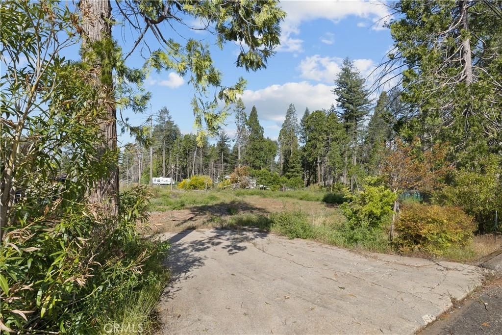 13959 Jarvis CR Magalia CA 95954 | MLS #SN26020151 45 MLS #SN26020151 image #0