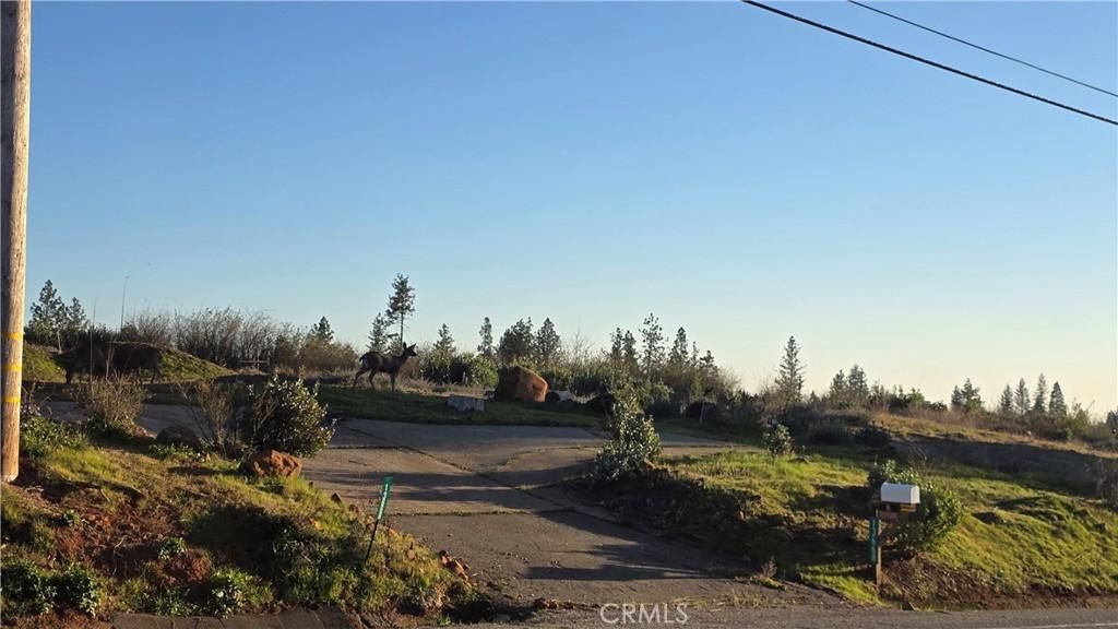 13668 W Park DR Magalia CA 95954 | MLS #SN26026743 45 MLS #SN26026743 image #0