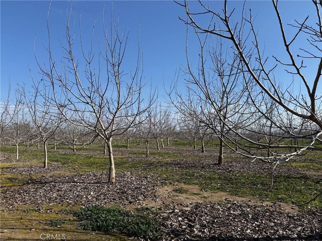 MLS #SN26027741 image #0