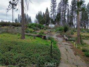 MLS #SN26029483 image #0