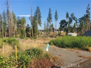 MLS #SN26033170 image #0