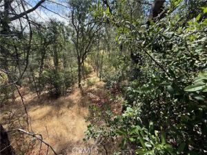 MLS #SN26036441 image #0