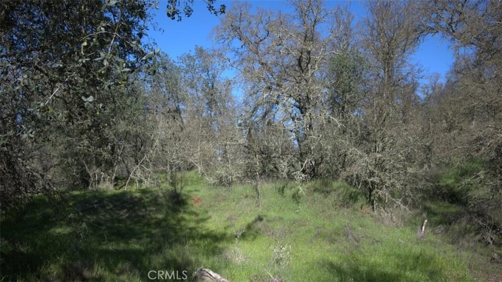 123 Rail Bridge Rd Oroville CA 95966 | MLS #SN26043514 13 MLS #SN26043514 image #0