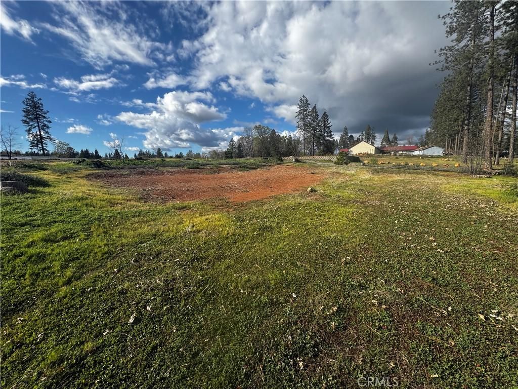 1711 Timber Paradise CA 95969 | MLS #SN26045852 45 MLS #SN26045852 image #0