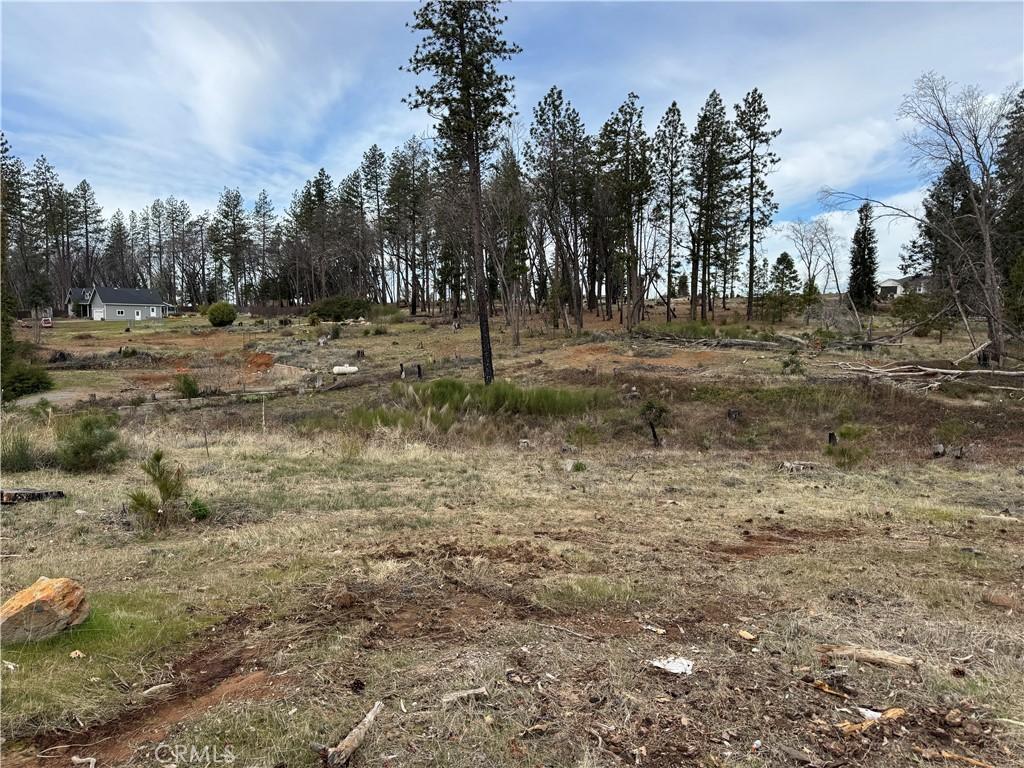 8083 Skyway Paradise CA 95969 | MLS #SN26049767 45 MLS #SN26049767 image #0