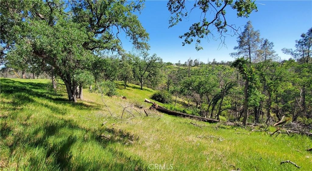 15687 Stagecoach Corning CA 96021 | MLS #SN26069342 21 MLS #SN26069342 image #0