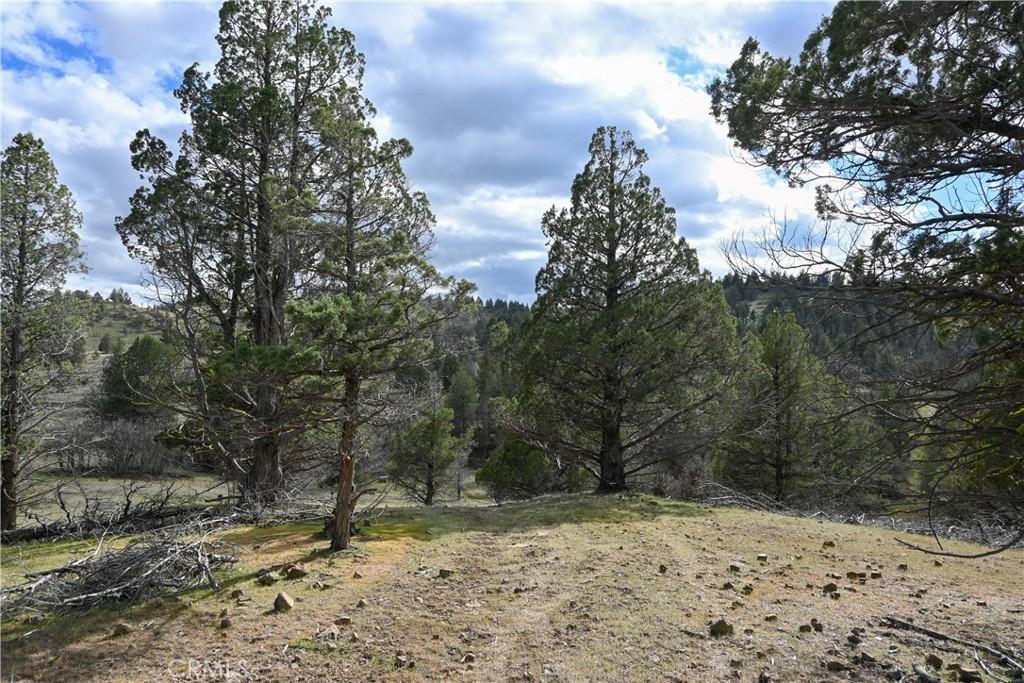 MLS #SN26070661 image #0