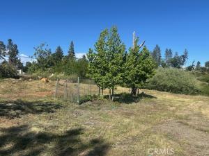 1017 Rochelle Paradise CA 95969 | MLS #SN26075460 45 MLS #SN26075460 image #0