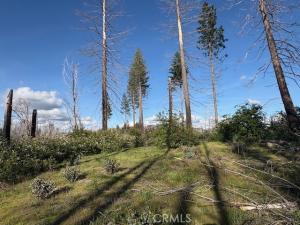 4277 Bald Rock Road Brush Creek CA 95916 | MLS #SN26080824 33 MLS #SN26080824 image #0