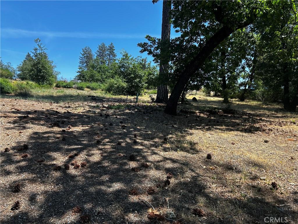 6272 Berkshire Paradise CA 95969 | MLS #SN26091405 45 MLS #SN26091405 image #0