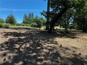 6272 Berkshire Paradise CA 95969 | MLS #SN26091405 45 MLS #SN26091405 image #0