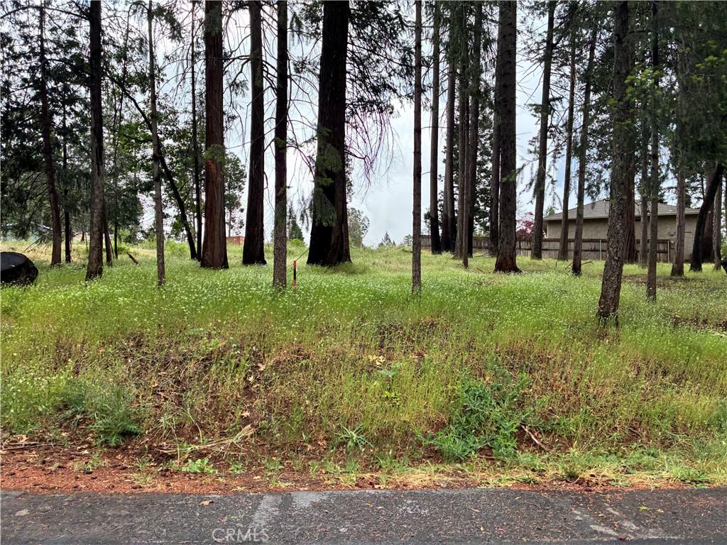 Pineland CR Lot 194 Magalia CA 95954 | MLS #SN26115690 25 MLS #SN26115690 image #0