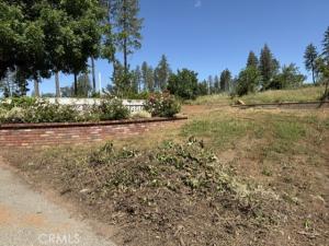 6251 Harvey Paradise CA 95969 | MLS #SN26132757 45 MLS #SN26132757 image #0