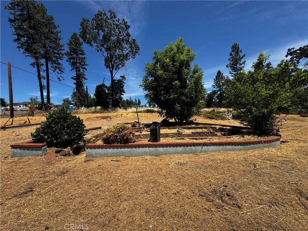 992 Maple Park Paradise CA 95969 | MLS #SN26142138 45 MLS #SN26142138 image #0