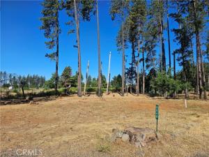 6849 Clark Rd Road Paradise CA 95969 | MLS #SN26142166 45 MLS #SN26142166 image #0