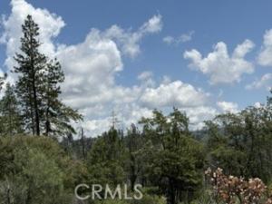 Feather Ridge Lot 1 Berry Creek CA 95916 | MLS #SN26146782 41 MLS #SN26146782 image #0