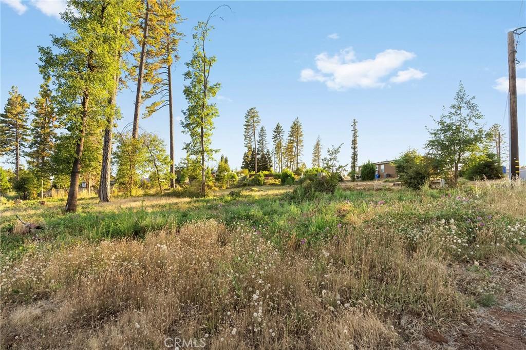 6503 Moss LN Paradise CA 95969 | MLS #SN26155454 45 MLS #SN26155454 image #0