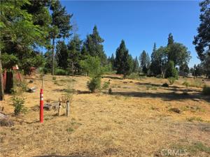 MLS #SN26156231 image #0