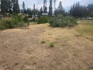 MLS #SN26165962 image #0