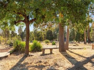 MLS #SN26166567 image #0